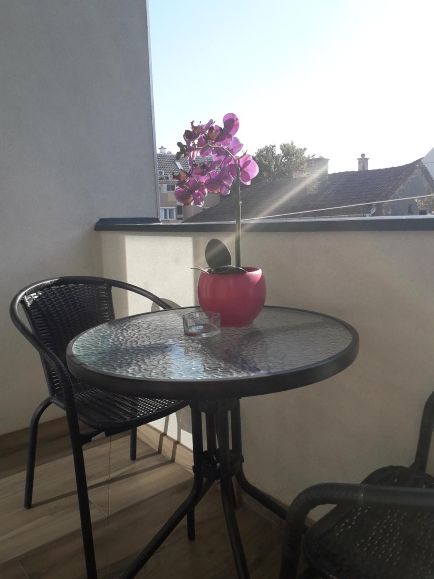 Hajnal Apartman Leilighet Szeged Rom bilde